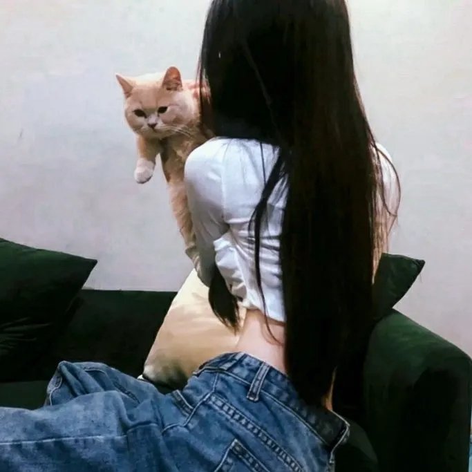 刀背藏身